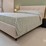 Terra Camerte 3*