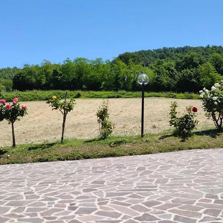 Terra Camerte Camerino