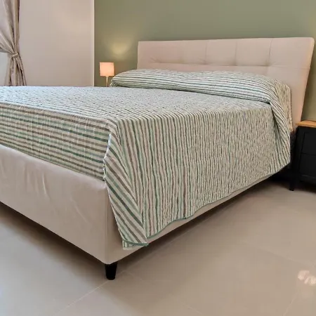 Terra Camerte 3*