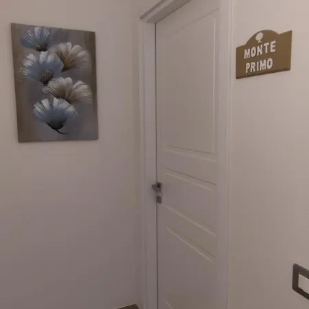 Terra Camerte Camerino