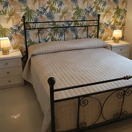 Terra Camerte 3*