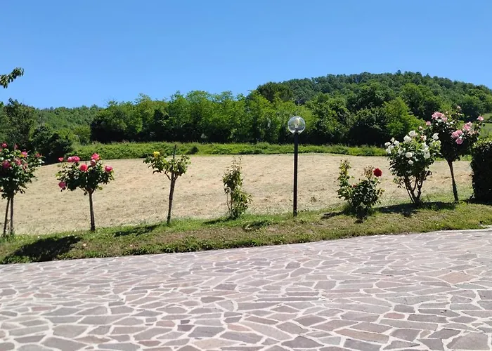 Terra Camerte Camerino